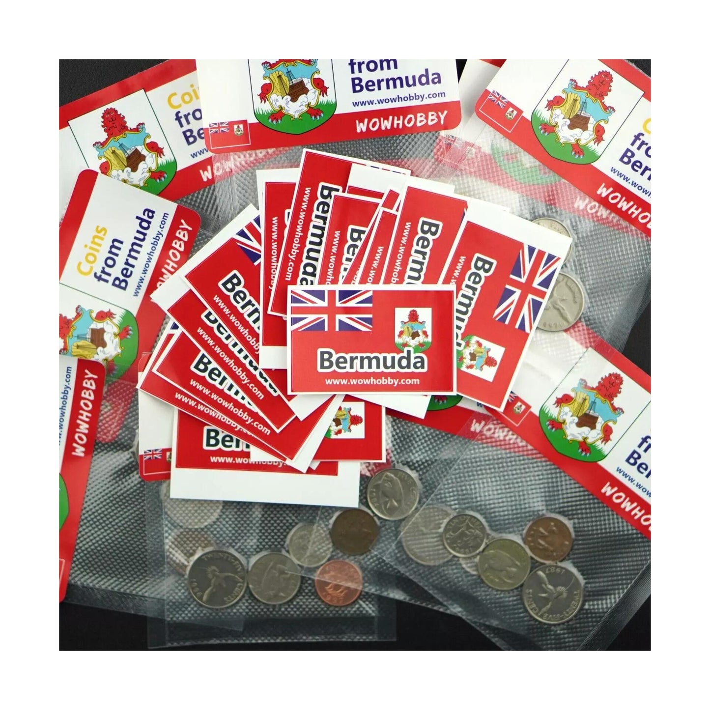 Bermuda 4 Random Coins