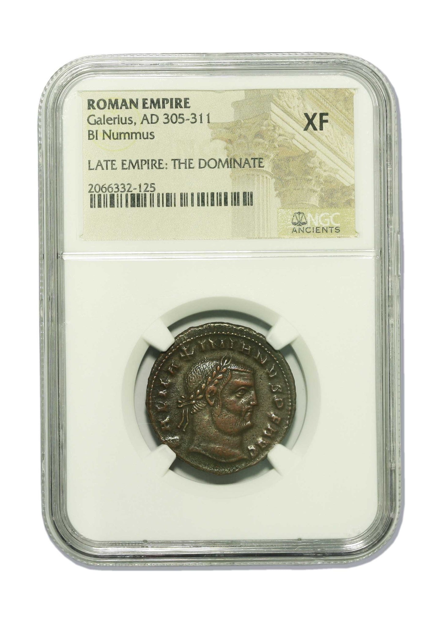 Galerius Roman AE (AD 293-311) NGC