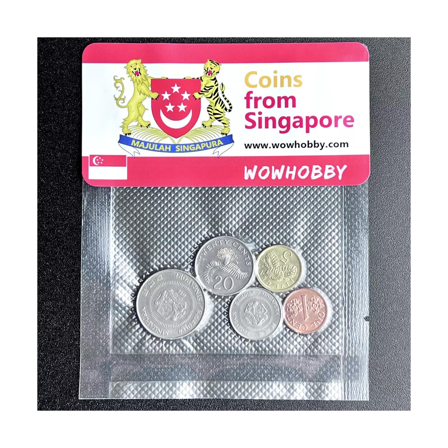 Singapore 5 Random Coins