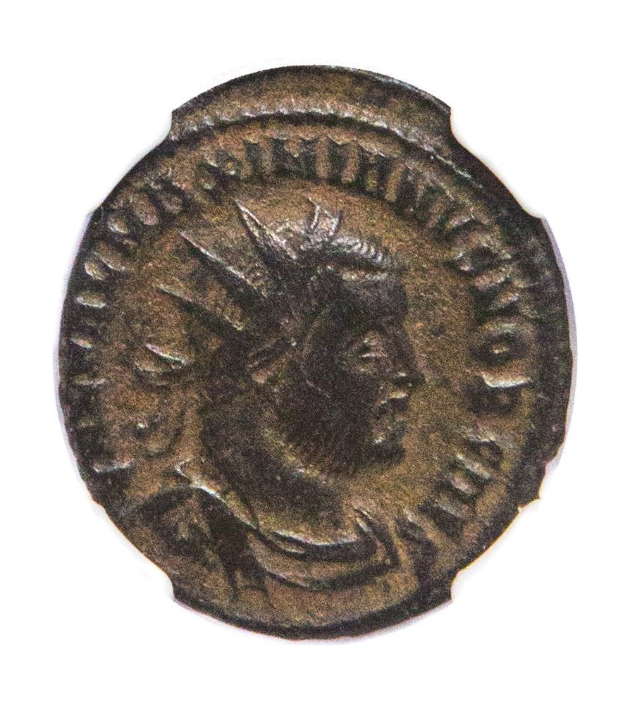 Galerius Roman AE (AD 293-311) NGC