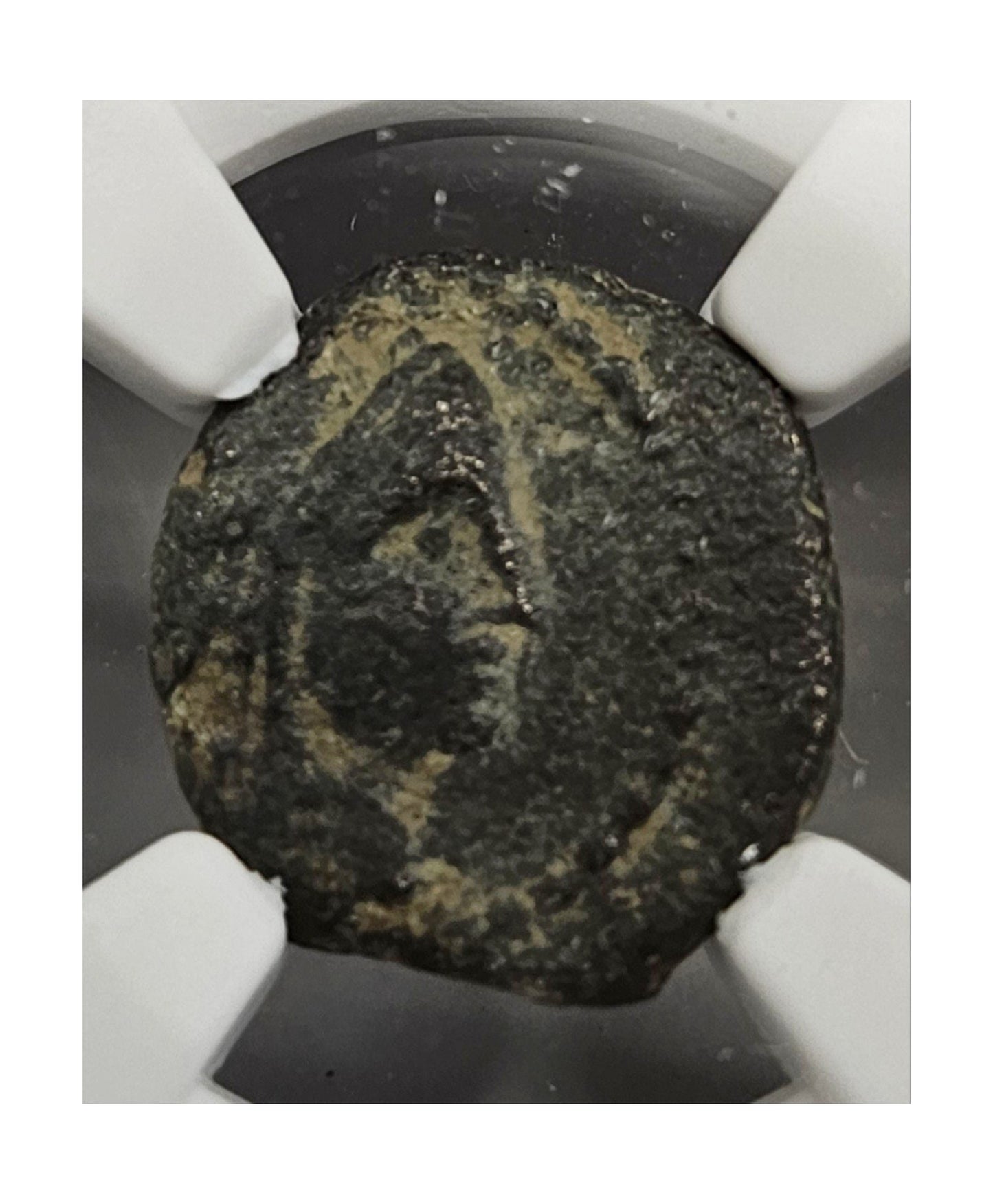 Nabataean Kingdom Bronze of Aretas IV (9 BC–AD 40) NGC