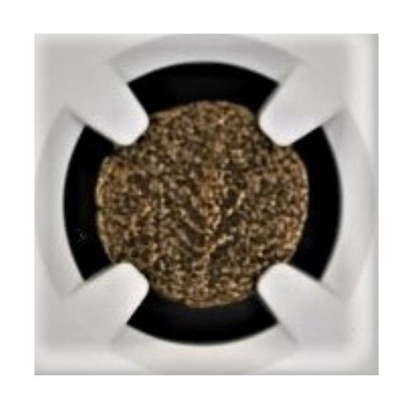 Porcius Festus Judaea AE Prutah (AD 59-62) NGC
