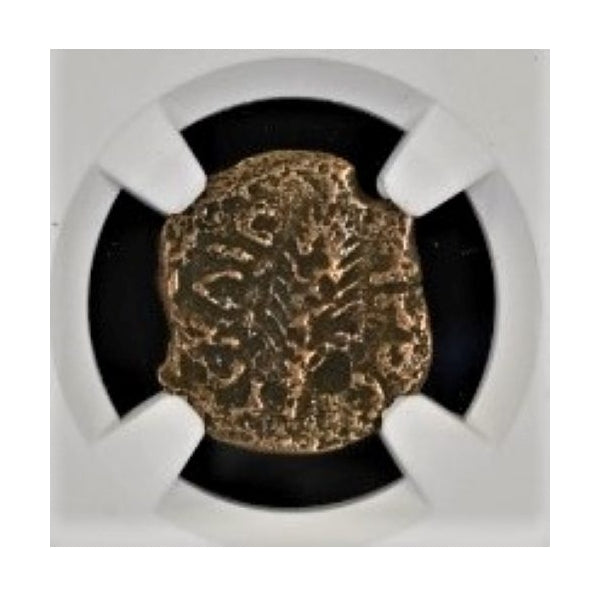 Porcius Festus Judaea AE Prutah (AD 59-62) NGC