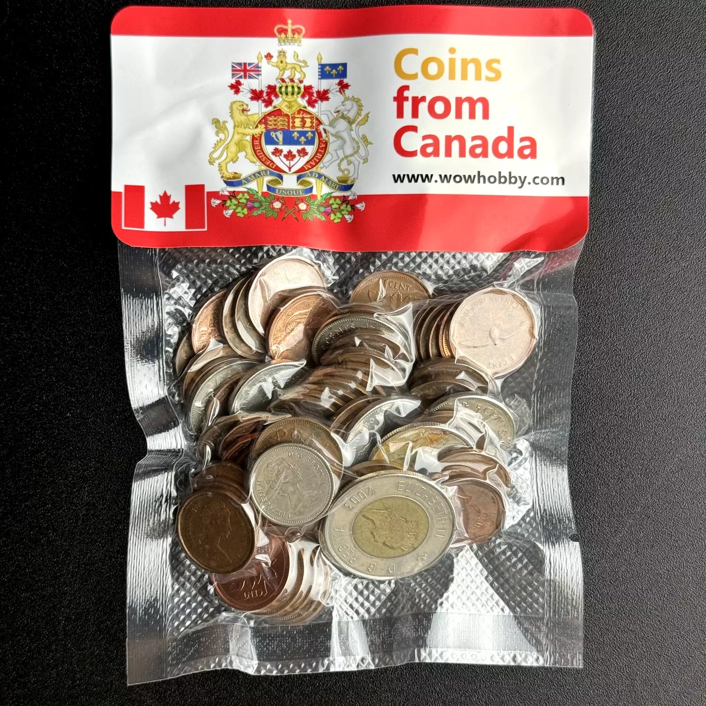 Bag of 50 Coins from Canada 🇨🇦