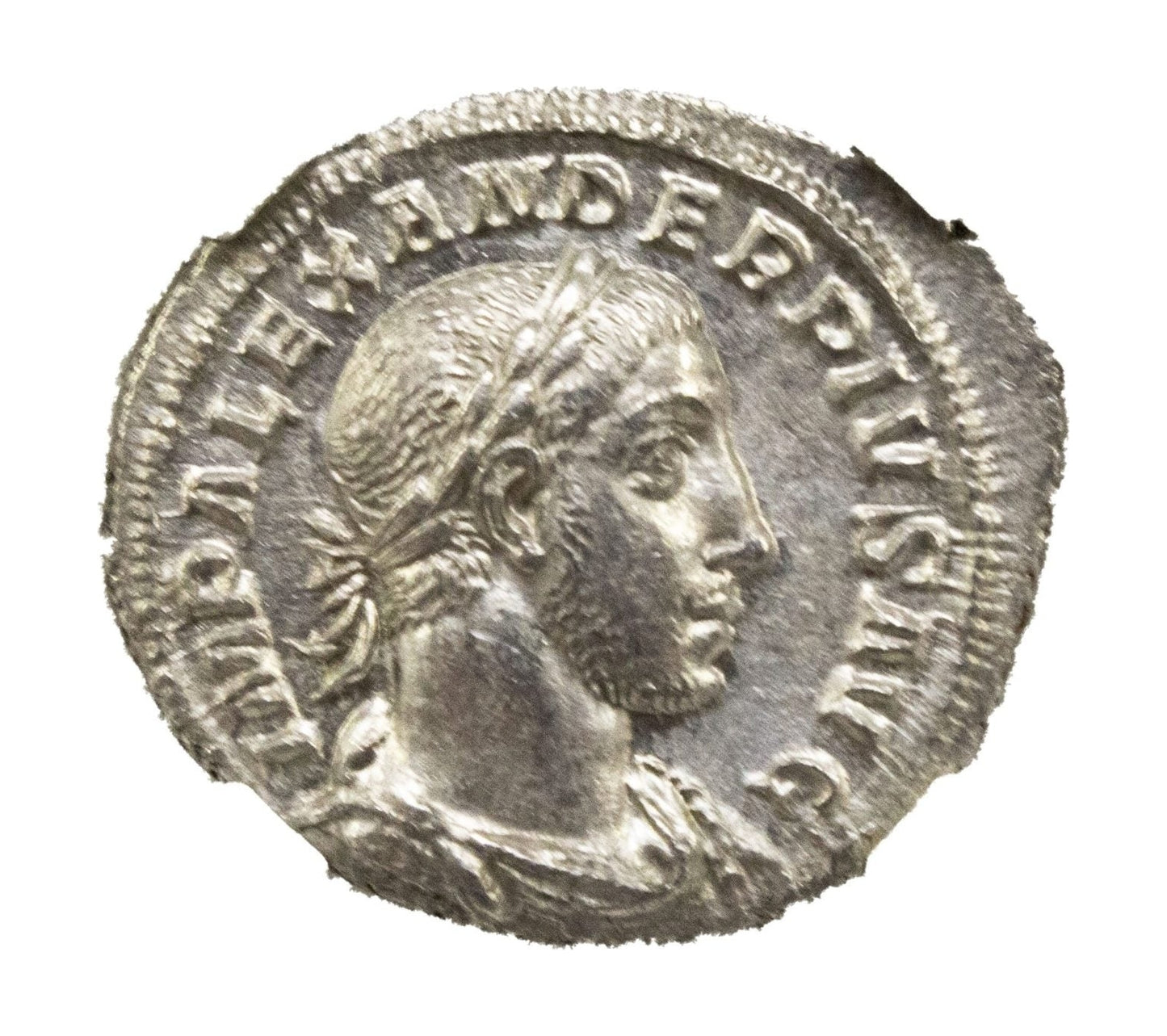 Severus Alexander Roman Silver Denarius (AD 222-235) NGC