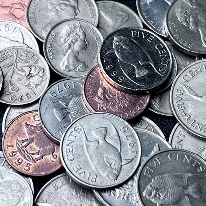 Bulk Lot of Bermudian Coins