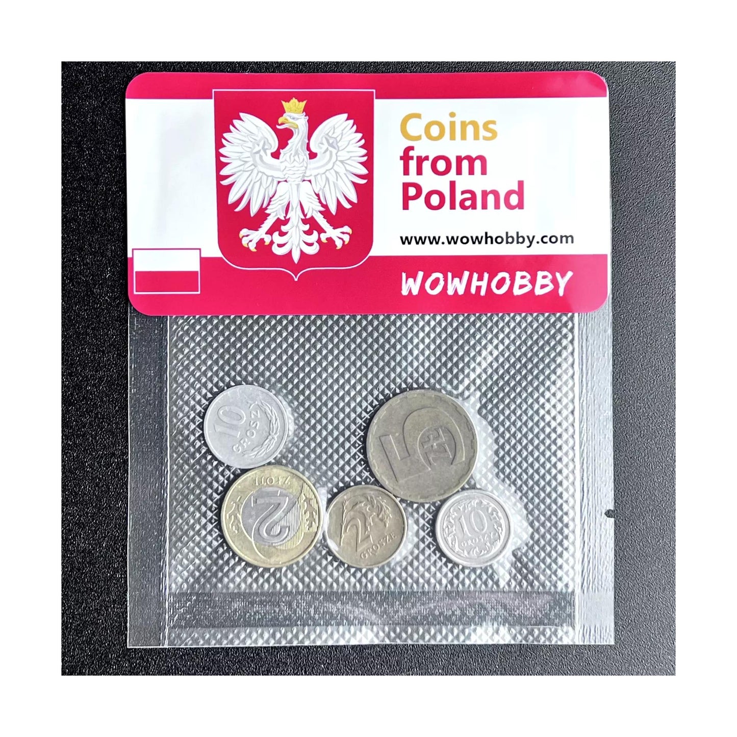 Poland 5 Random Coins