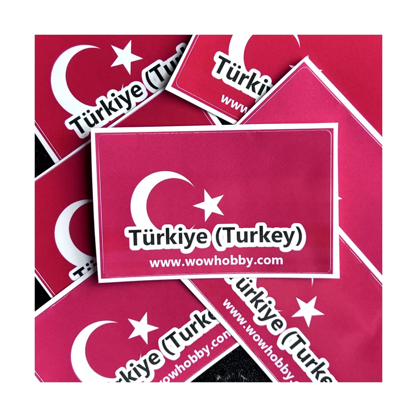 Türkiye (Turkey) 5 Random Coins