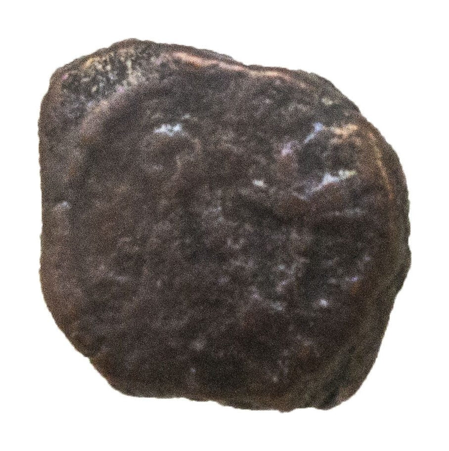 Roman Bronze AE4 Of Anastasius I (AD 491–518) NGC