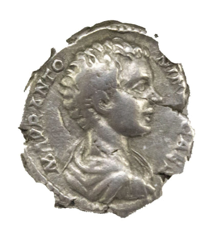Caracalla Roman Silver Denarius (AD 198-217) NGC