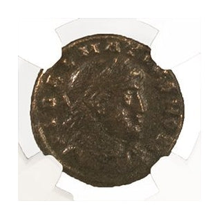 Delmatius Roman AE (AD 335-337) NGC