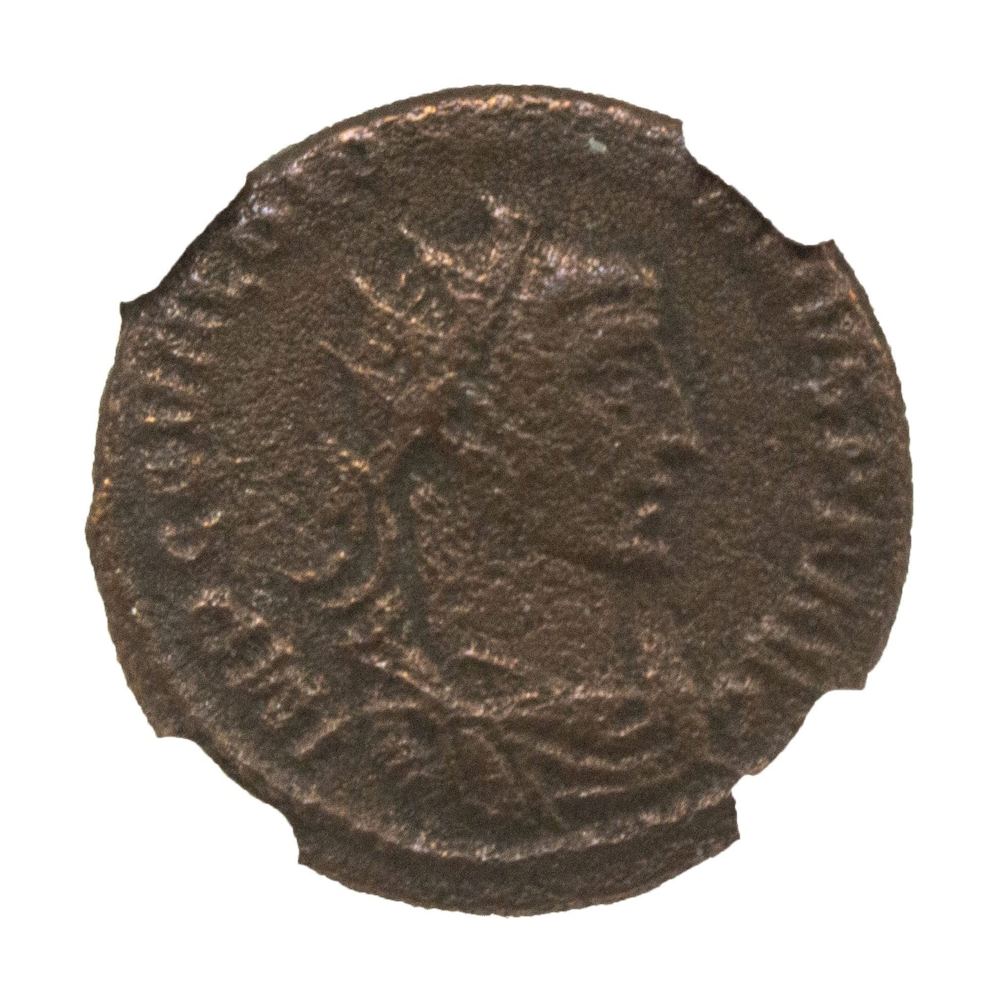 Diocletian Roman AE Antoninianus (AD 284-305) NGC