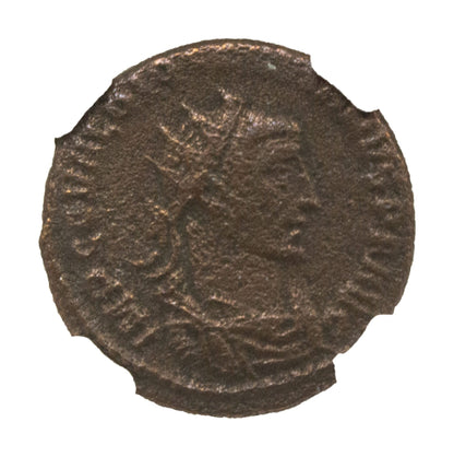 Diocletian Roman AE Antoninianus (AD 284-305) NGC