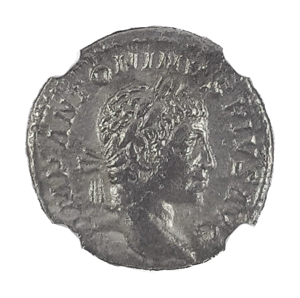 Elagabalus Roman Silver Denarius (AD 218-222) NGC