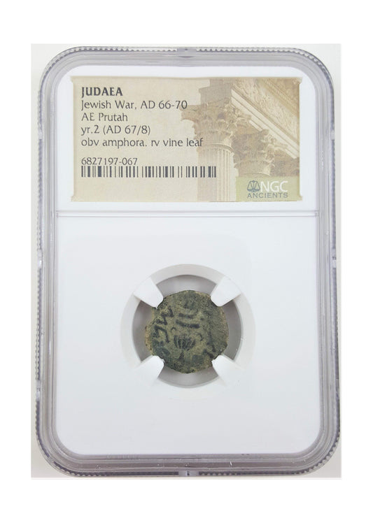 Judaea AE Prutah First Jewish Revolt 2nd Year (AD 67/68) NGC
