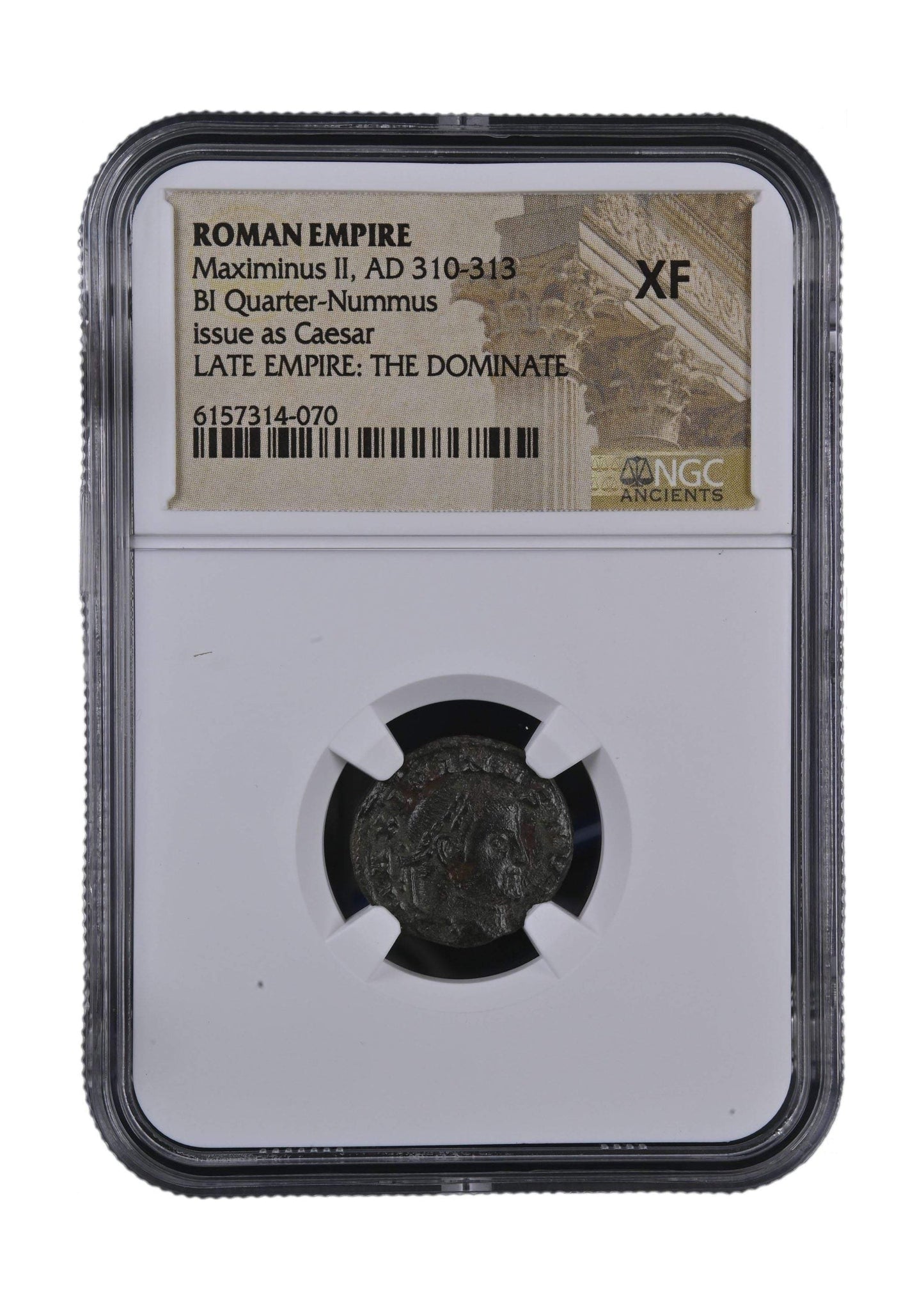Maximinus II Roman AE (AD 311-313) NGC
