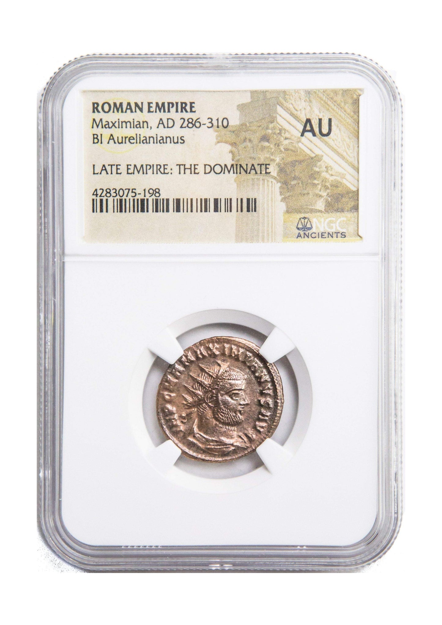 Maximian Roman AE (AD 286-310) NGC
