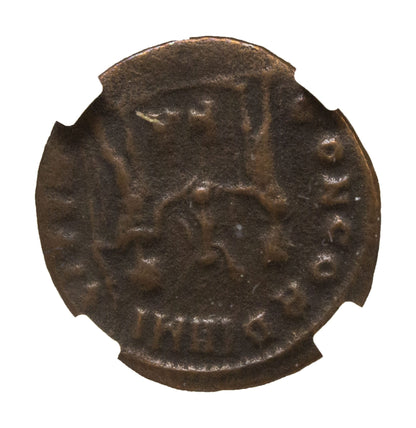 Galerius Roman AE (AD 293-311) NGC