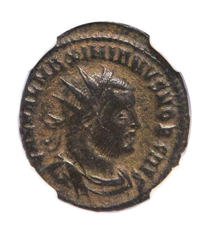Galerius Roman AE (AD 293-311) NGC
