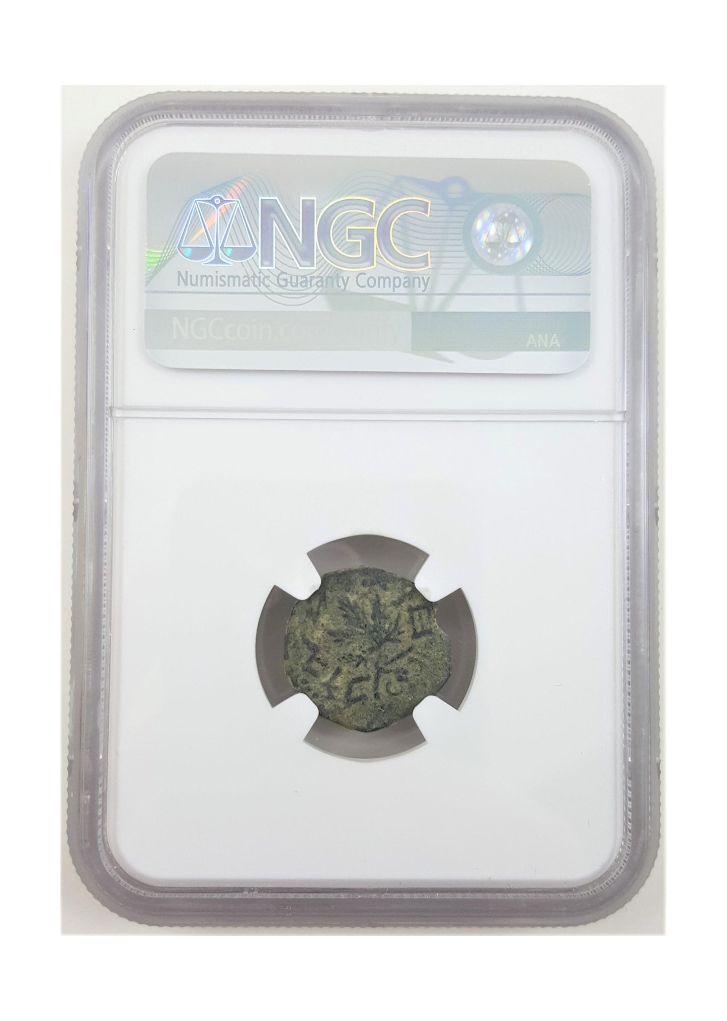Judaea AE Prutah First Jewish Revolt 2nd Year (AD 67/68) NGC