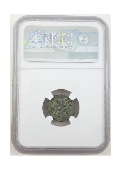 Judaea AE Prutah First Jewish Revolt 2nd Year (AD 67/68) NGC