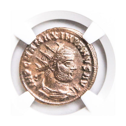 Maximian Roman AE (AD 286-310) NGC