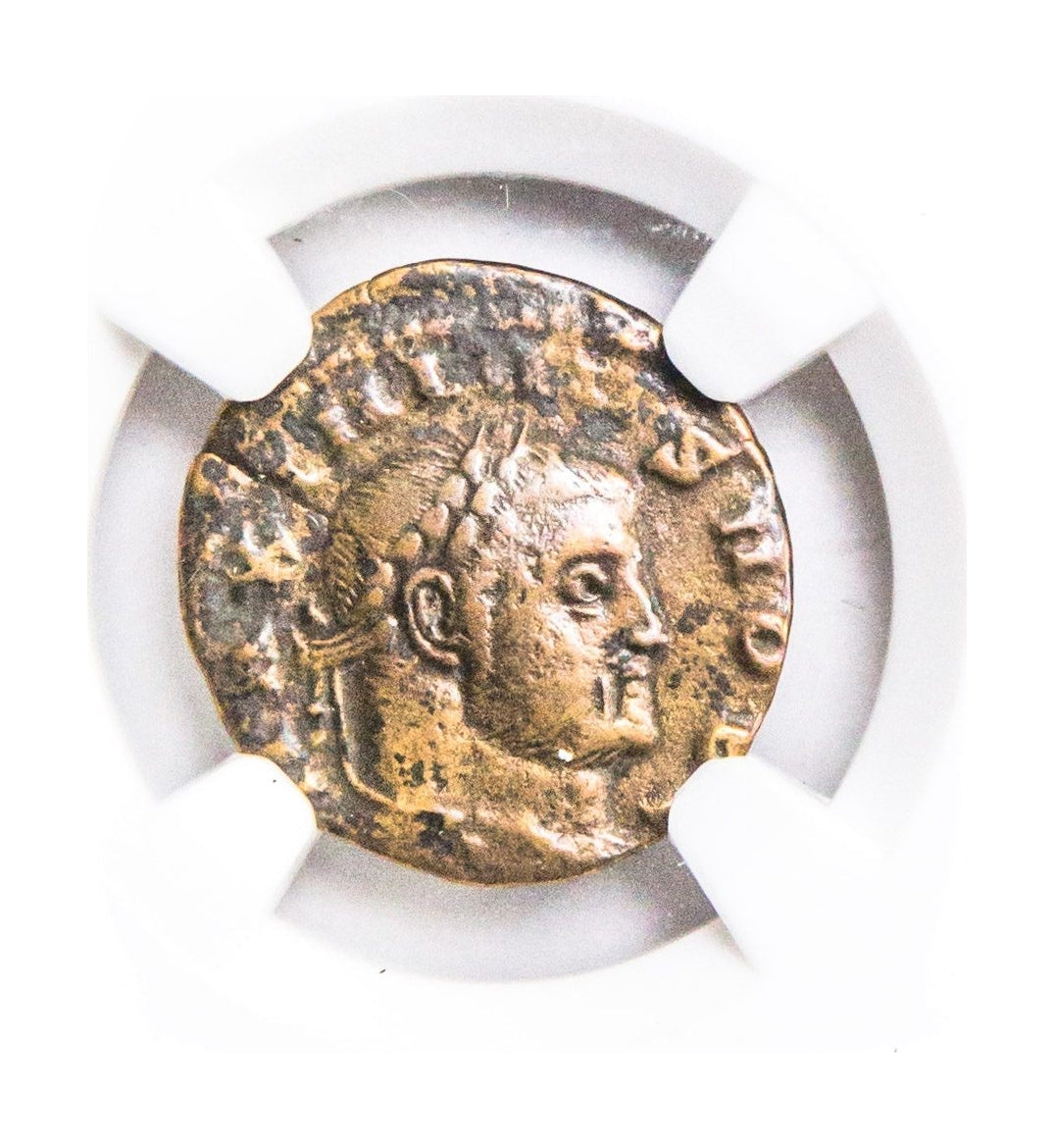 Maximinus II Roman AE (AD 311-313) NGC