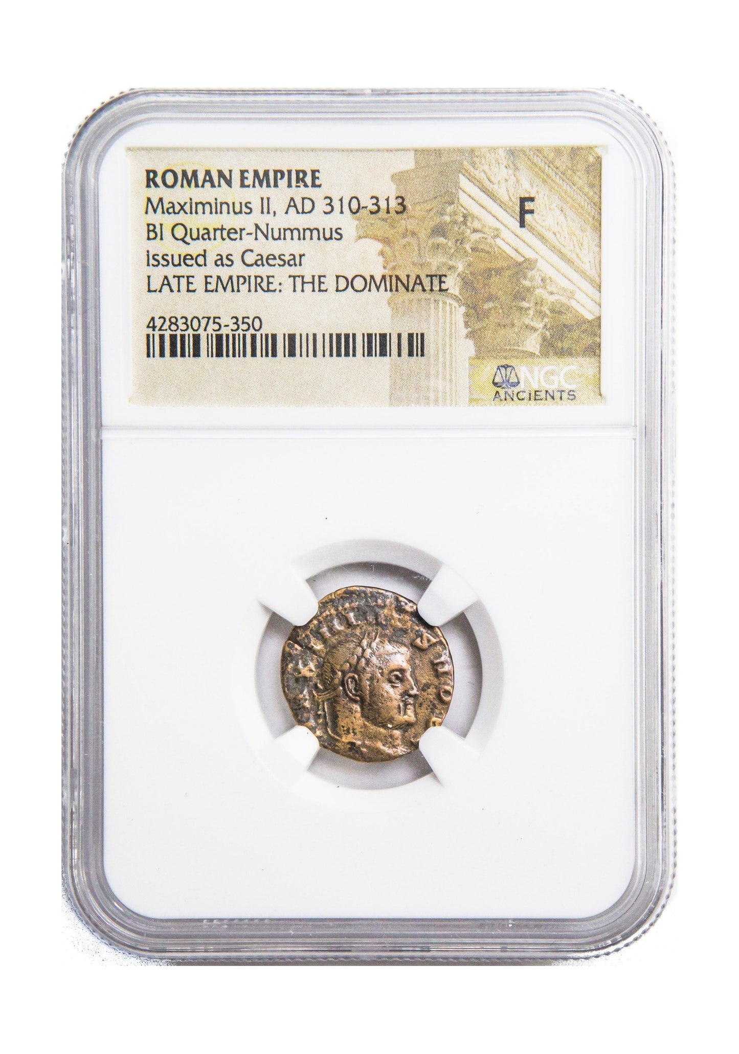 Maximinus II Roman AE (AD 311-313) NGC