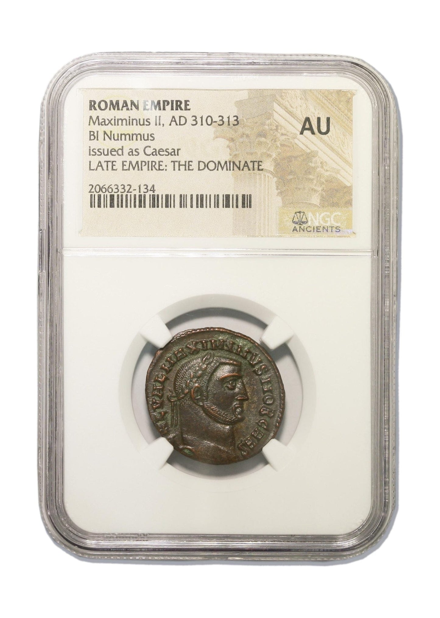Maximinus II Roman AE (AD 311-313) NGC