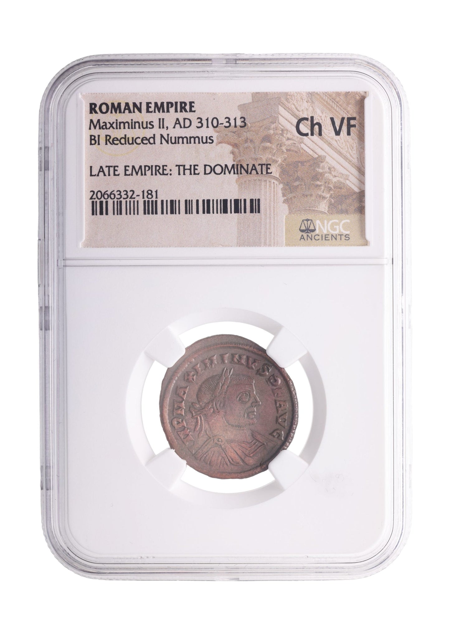 Maximinus II Roman AE (AD 311-313) NGC
