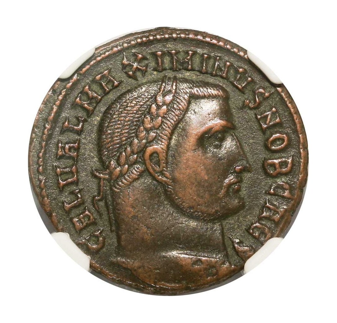 Maximinus II Roman AE (AD 311-313) NGC