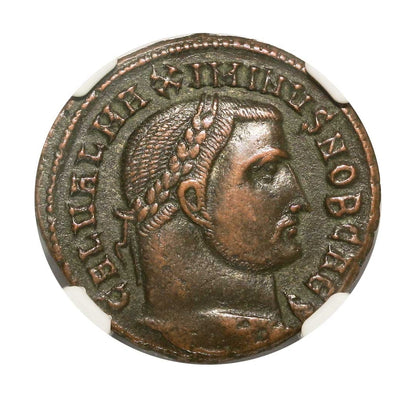Maximinus II Roman AE (AD 311-313) NGC
