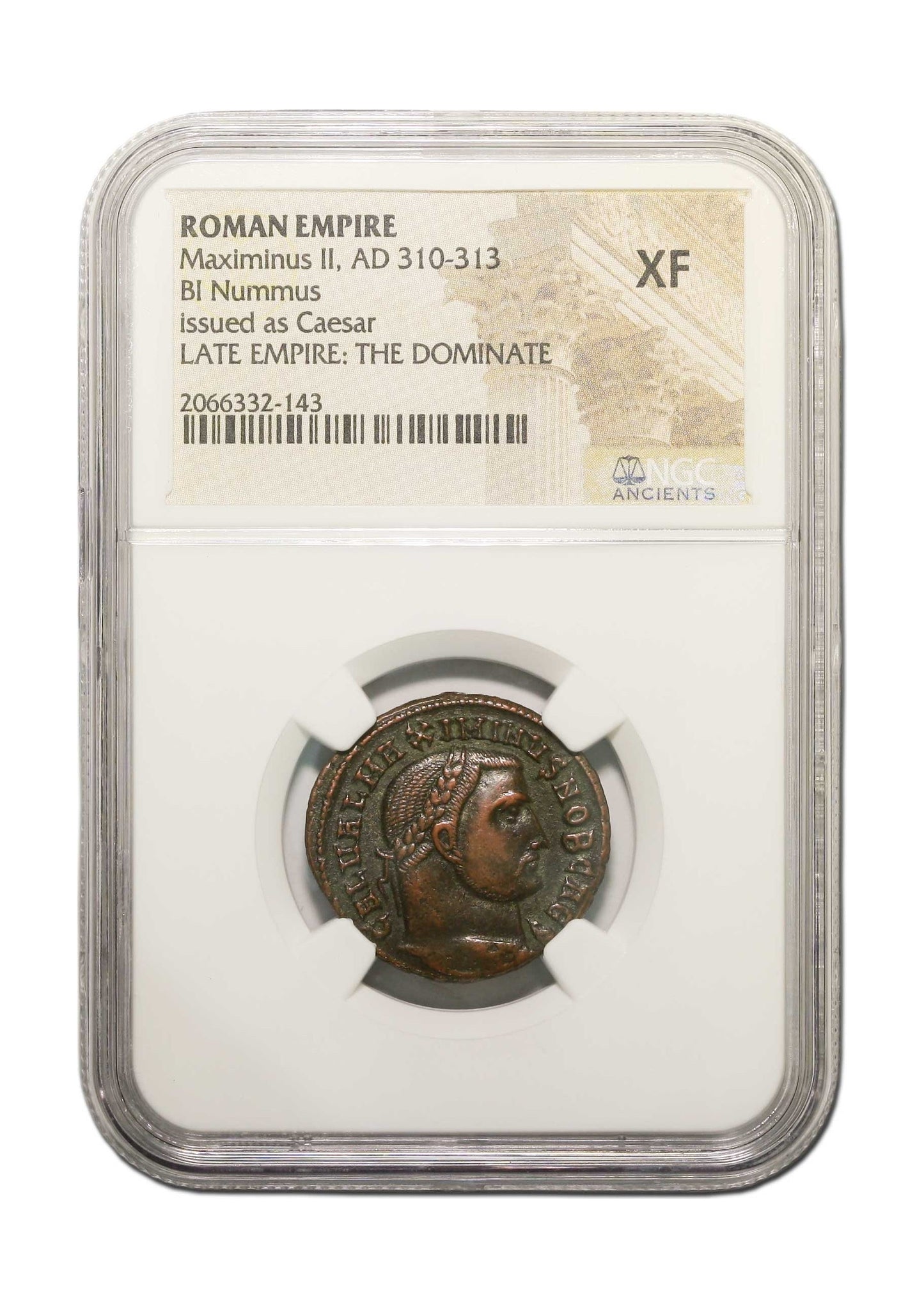 Maximinus II Roman AE (AD 311-313) NGC