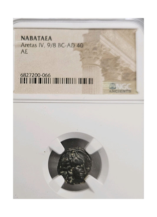 Nabataean Kingdom Bronze of Aretas IV (9 BC–AD 40) NGC