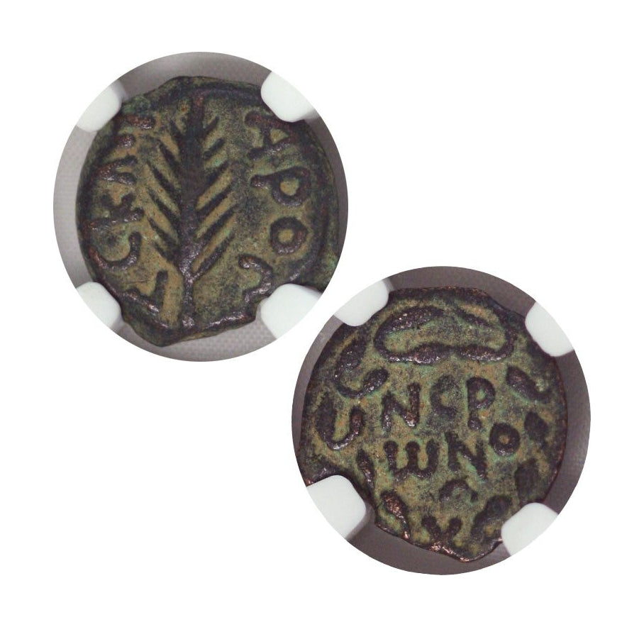Porcius Festus Judaea AE Prutah (AD 59-62) NGC