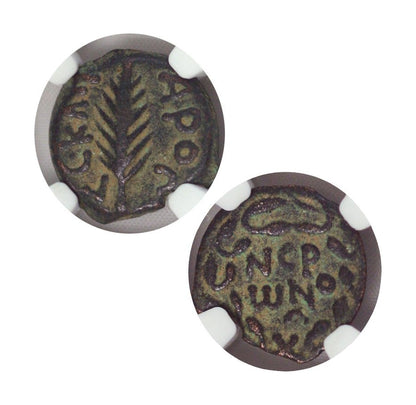 Porcius Festus Judaea AE Prutah (AD 59-62) NGC