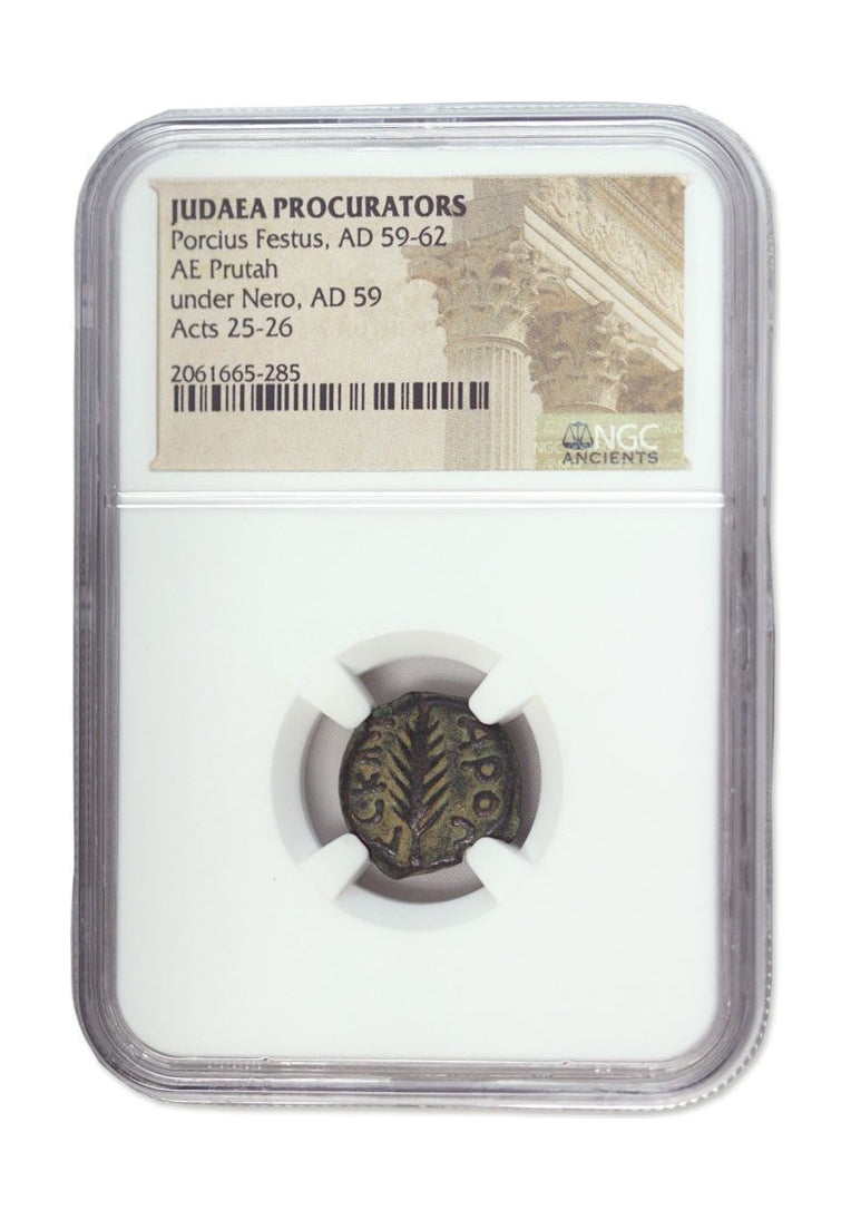 Porcius Festus Judaea AE Prutah (AD 59-62) NGC
