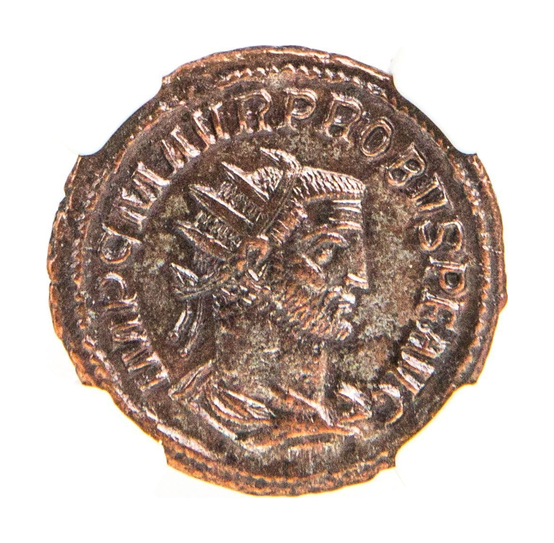 Probus Roman AE (AD 276-282) NGC