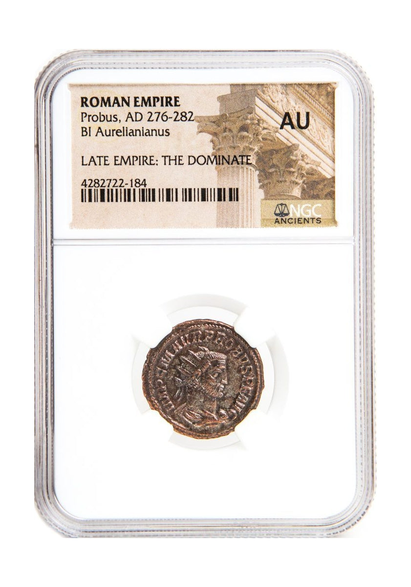 Probus Roman AE (AD 276-282) NGC