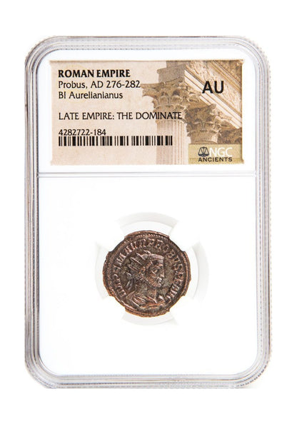 Probus Roman AE (AD 276-282) NGC