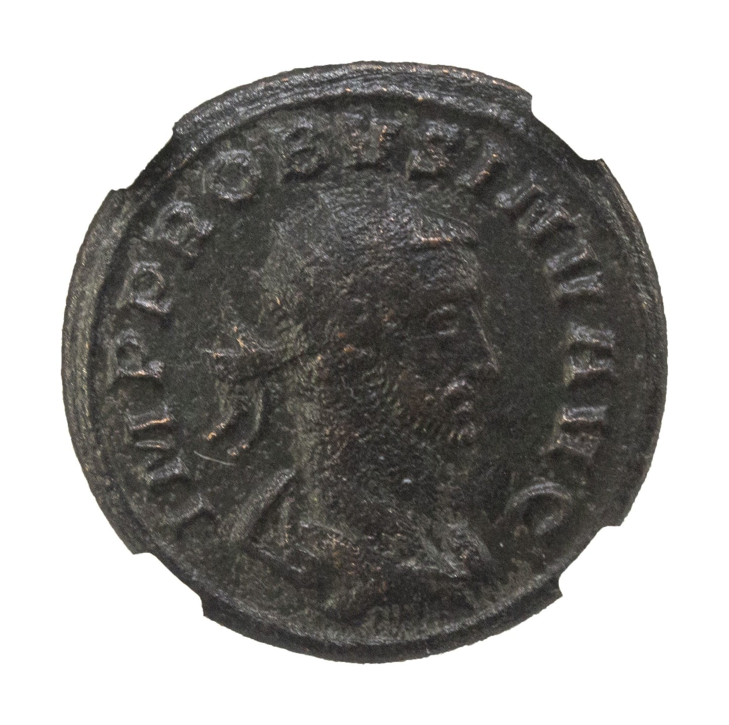 Probus Roman AE (AD 276-282) NGC