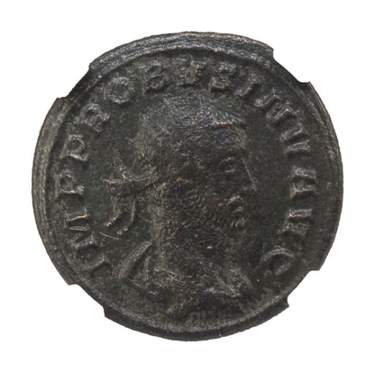 Probus Roman AE (AD 276-282) NGC