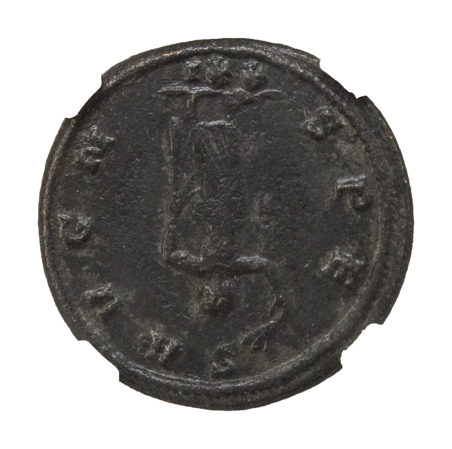 Probus Roman AE (AD 276-282) NGC