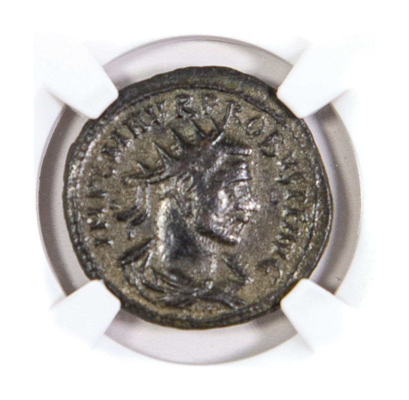 Probus Roman AE (AD 276-282) NGC