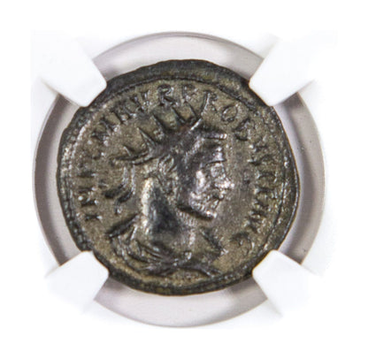 Probus Roman AE (AD 276-282) NGC