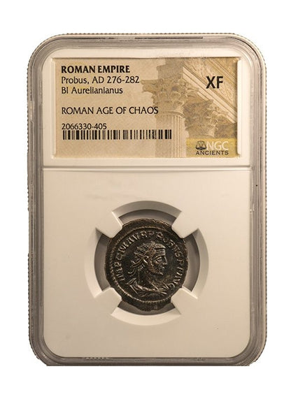 Probus Roman AE (AD 276-282) NGC