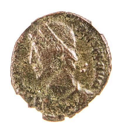 Roman Bronze AE3 Of Procopius (AD 365–366) NGC