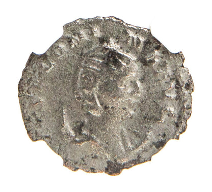 Salonina Roman Silver Antoninianus (NGC Certified Slab)