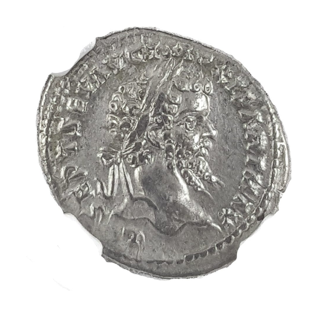 Septimius Severus Roman AR Denarius (AD 193-211) NGC