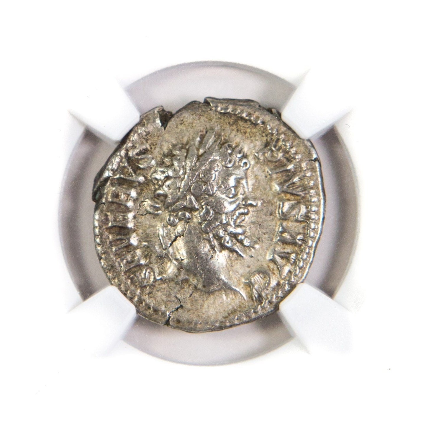 Septimius Severus Roman AR Denarius (AD 193-211) NGC